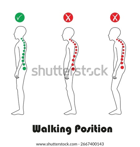 Walking position. Best worst posture for walk vector illustration. Right and wrong physical anatomy spine position showed on outline Male character. Figure with incorrect and correct backbone bent