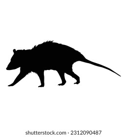 Walking Possum Silhouette. Good To Use For Element Print Book, Animal Book and Animal Content