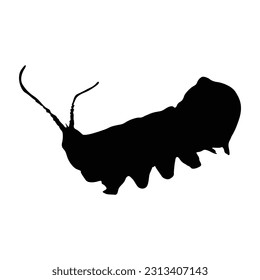Walking Puss Moth Silhouette. Good To Use For Element Print Book, Animal Book and Animal Content