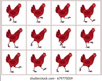 Una hoja de gallina roja andando aislada sobre fondo blanco. Ilustración vectorial. Se puede utilizar para animación GIF 