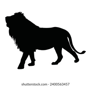 Walking and roaring african lion with big mane side view outline - wild animal black and white vector silhouette design
Important information.