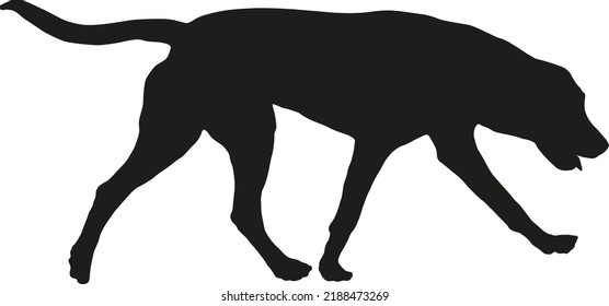 Walking russian hound puppy. Black dog silhouette. Pet animals. Isolated on a white background. Vector illustration.