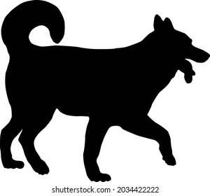 Walking siberian husky puppy. Black dog silhouette. Pet animals. Isolated on a white background. Vector illustration.