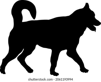 Walking siberian husky puppy. Black dog silhouette. Pet animals. Isolated on a white background. Vector illustration.