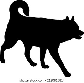 Walking siberian husky puppy. Black dog silhouette. Pet animals. Isolated on a white background. Vector illustration.