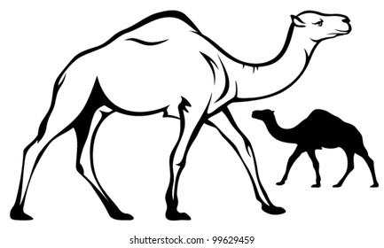 Walking Single-humped Camel Black And White Outline