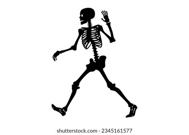 Walking skeleton, full body vector design.