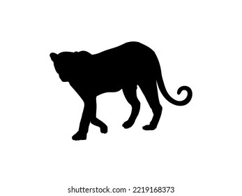 Walking (Standing) Tiger, Leopard, Cheetah, Black Panther, Jaguar, (Big Cat Family) Silhouette for Logo or Graphic Design Element. Vector Illustration