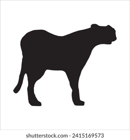 Walking (Standing) Tiger, Leopard, Cheetah, Black Panther, Jaguar, (Big Cat Family) Silhouette for Logo or Graphic Design Element. Vector Illustration