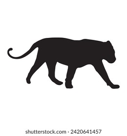 Walking (Standing) Tiger vector silhouette illustration isolated on white background. Big wild cat. Siberian tiger (Amur tiger - Panther Tigris tactical) or Bengal tiger. Tattoo sign.