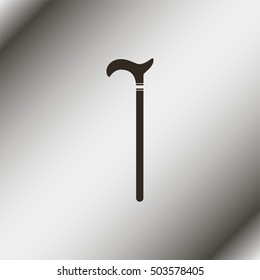 Walking stick.