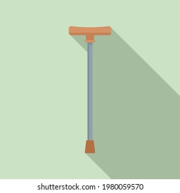 Walking stick icon. Flat illustration of Walking stick vector icon for web design