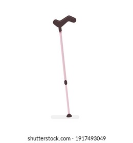 Walking sticks. Vector illustration in flat style.