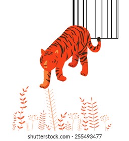 Walking tiger illustration - sketched wildlife animal. 