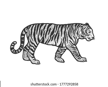 Walking tiger sketch engraving vector illustration. T-shirt apparel print design. Scratch board imitation. Black and white hand drawn image.
