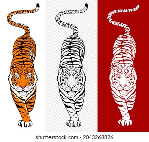 Walking tiger. Stylized characters set. Hand drawing by ink artwork. Top view. Chinese zodiac symbol of 2022 lunar new year. Vector illustration.