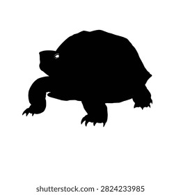 Walking turtle tortoise silhouette reptile illustration