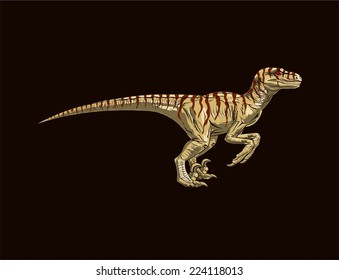 Walking Velociraptor. Vector illustration.