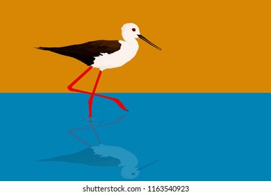 Walking water bird. Vector image. Blue and yellow background.