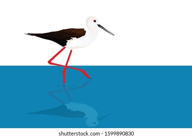 Walking water bird. Vector image. Blue and white background.