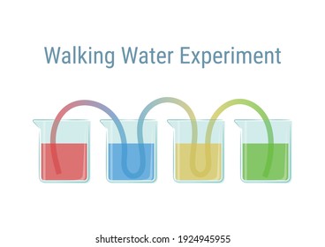 Walking Water Experiment Vector Illustration. Basic Science Experiment For Kid. Capillary Action Experiment.