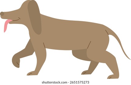 Walking Weimaraner Dog with Tongue Out Flat Illustration