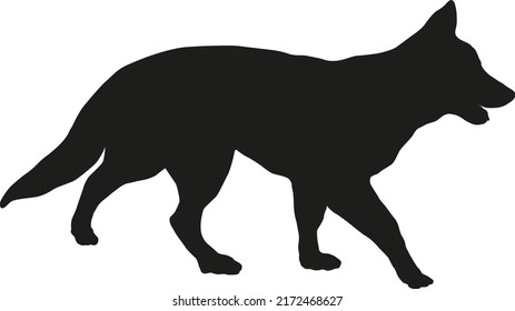 Walking white swiss shepherd dog puppy. Black dog silhouette. Pet animals. Isolated on a white background. Vector illustration.