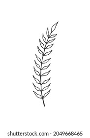 Wall art floral hand drawn art leaves with white background.