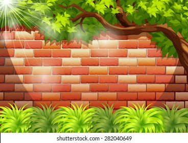 Wall of bricks with green plants and sun shining