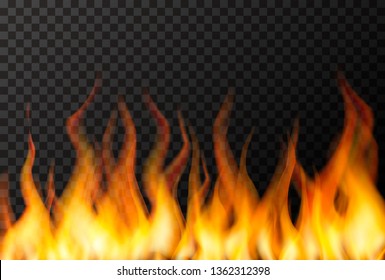 Wall Of Bright Fire Flame On Transparent Background