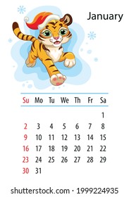 Wall calendar design template for january 2022,year of Tiger according to the Chinese or Eastern calendar. Animal character. Vector illustration. Week start in Sunday.In size A4. For print and design