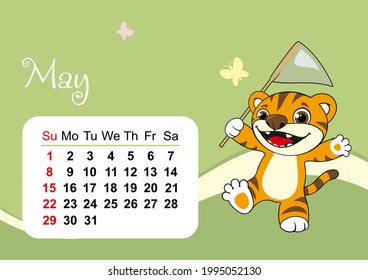 Wall calendar template for May 2022 in Englih. Year of the tiger to the Eastern Chinese calendar. Cute tiger in flat design. Week start in Sunday. In size A4 