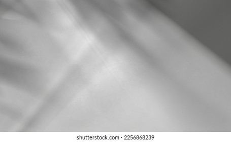 Wall Cement Background,Concrete with leaves shadow on wall texture, backdrop Grey Marble Display with overlay light,Vector 3D exterior Gray Concrete with copy space for product background presentation
