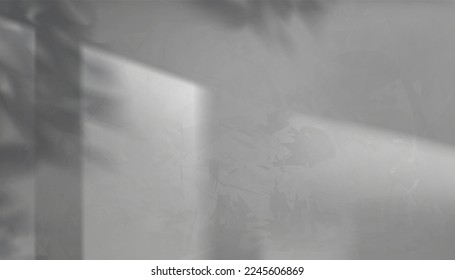 Wall concrete texture with Window drop shadow,Horizon Display Grey Cement texture of floor,Vector 3D Studio Scene Backdrop Gray Concrete rough cracked pattern with light, shadow of leaf on empty wall 