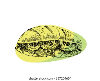 Wall decoration ideas hot dog fast food Sketch Vector Background.