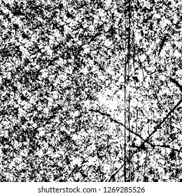 Wall fragment with scratches and cracks. Overlay grunge illustration over any design. Abstract grainy background with vintage effect