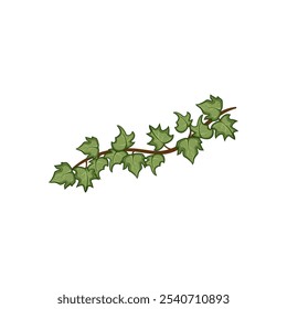 wall green ivy cartoon. garden outdoor, indoor decor, ever shade wall green ivy sign. isolated symbol vector illustration