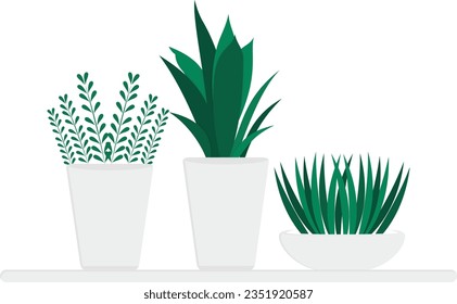 wall with home plants vector design