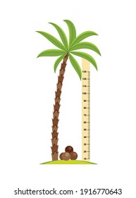 Wall meter with big high palm. Sticker for measuring height kids. Funny vector cartoon illustration for children
