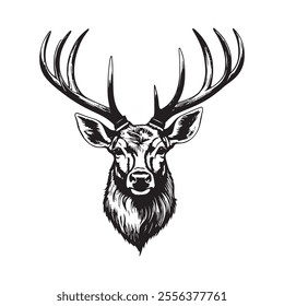 Wall mounted, stuffed deer head with antlers isolated, Deer Head (Vector).