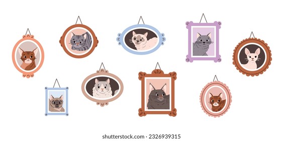 Wall with portraits of various purebred cats hanging in beautiful frames, flat vector illustration isolated on white background. Lovely pictures of cats pets.