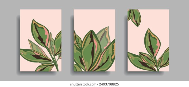 Wall posters with botanical plants. Abstract leaves for salon, spa design. Vector.