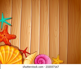 A wall with seashells