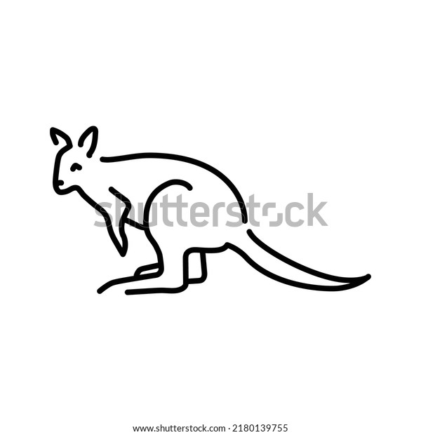 Wallabies Color Line Illustration Animals Australia Stock Vector ...