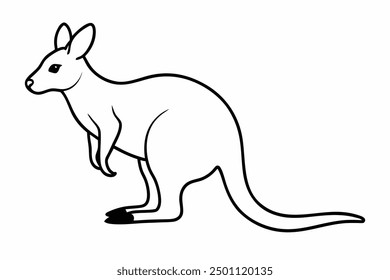 A Wallaby animal vector illustration