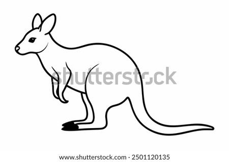 A Wallaby animal vector illustration
