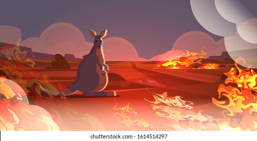 wallaby with baby escaping from fires in australia animals dying in wildfire bushfire natural disaster concept intense orange flames horizontal vector illustration