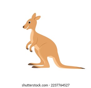 Wallaby. Cute funny Australian animal. Vector cartoon flat illustration of kangaroo.