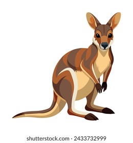 Wallaby Illustration on White Background