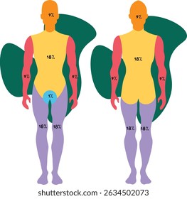 The Wallace Rule of Nines is a clinical tool used to estimate the total body surface area (TBSA) affected by burns in adult patients